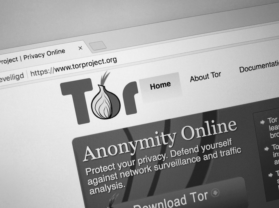 is private internet access compatible with tor dark web